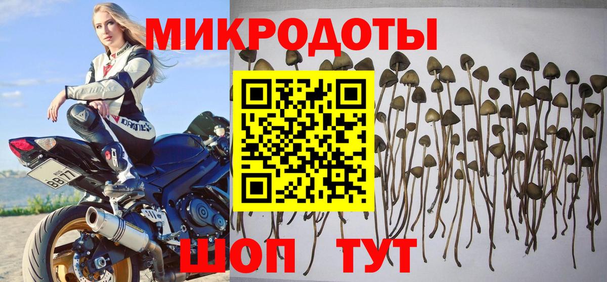 Белогорск  Галлюциногенные грибы мухоморы  Вход с VPN  Псилоцибиновые грибы мухоморы 
